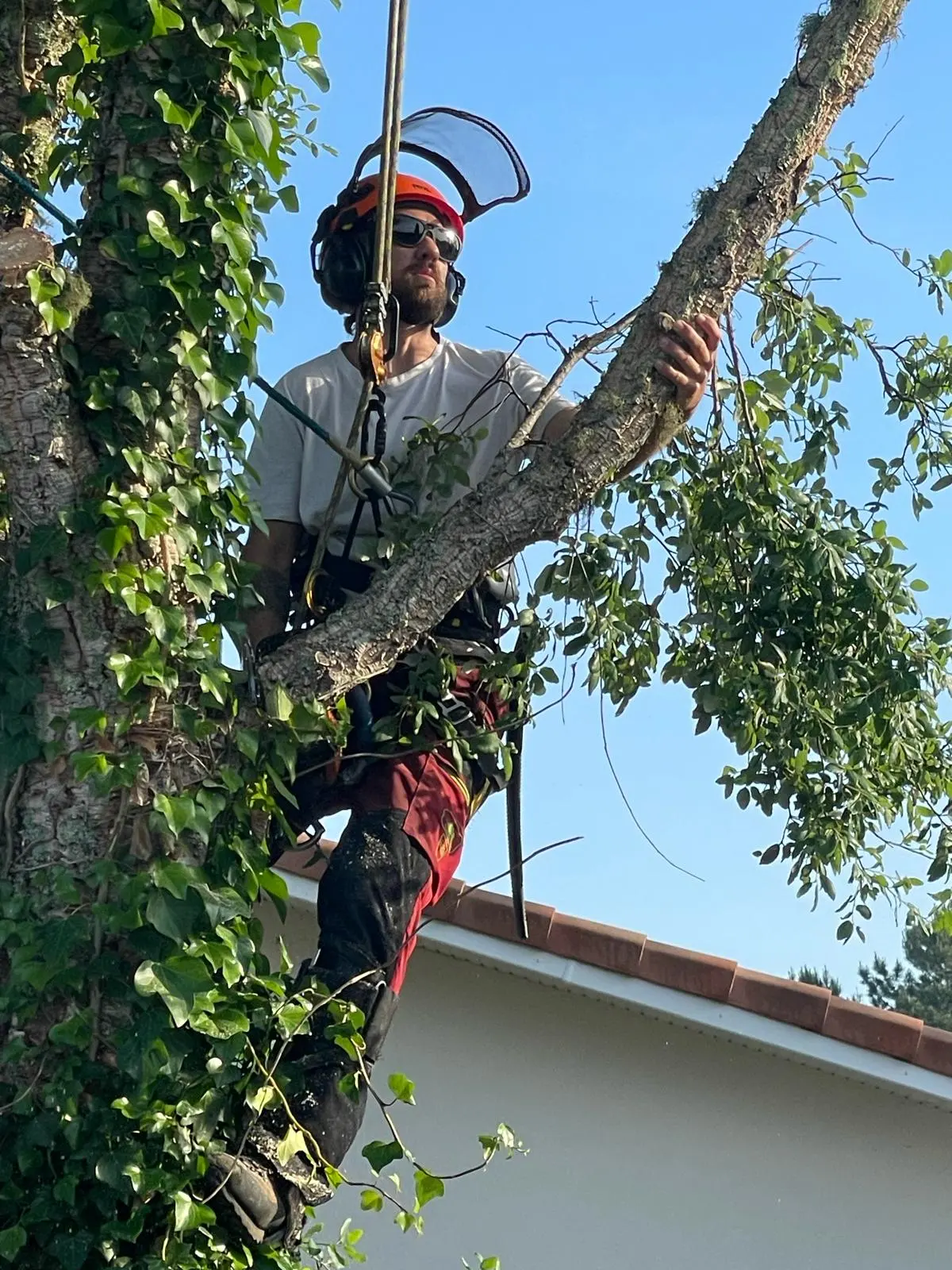 Calum, arboriste grimpeur, en tenue de travail